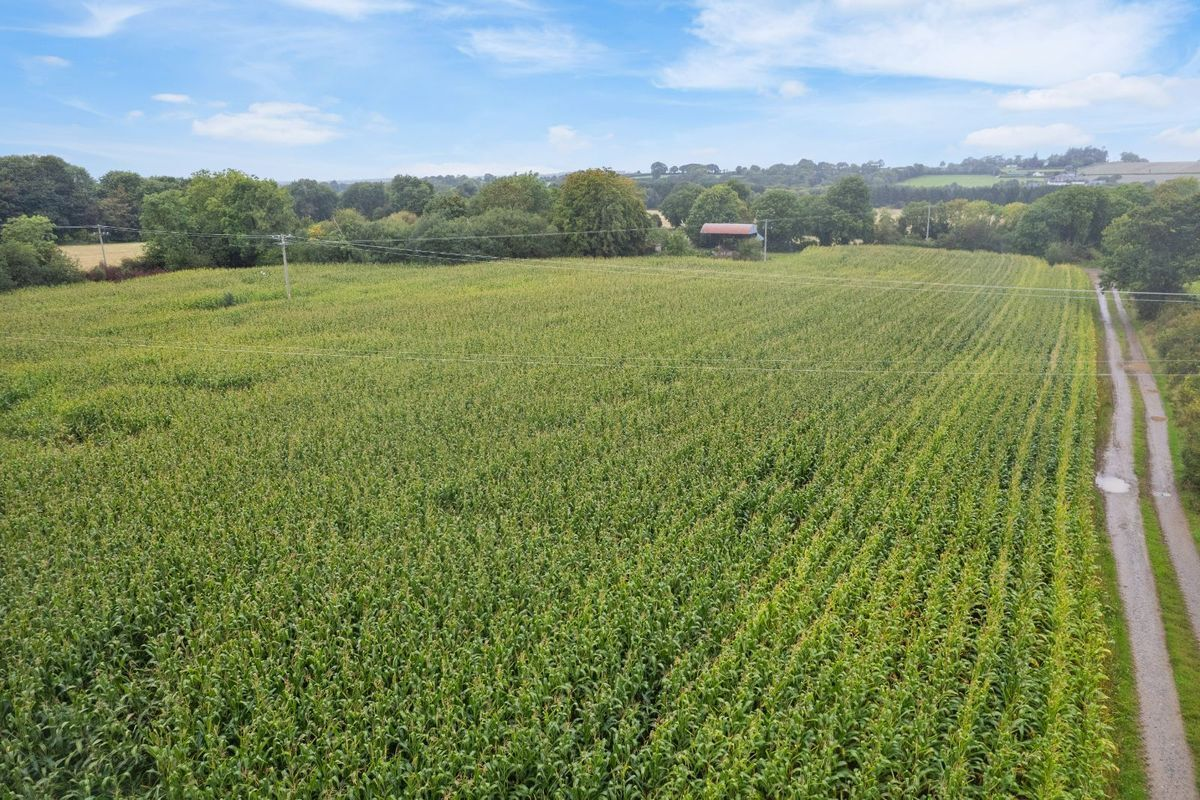 Rolling green farm fields with curving paths